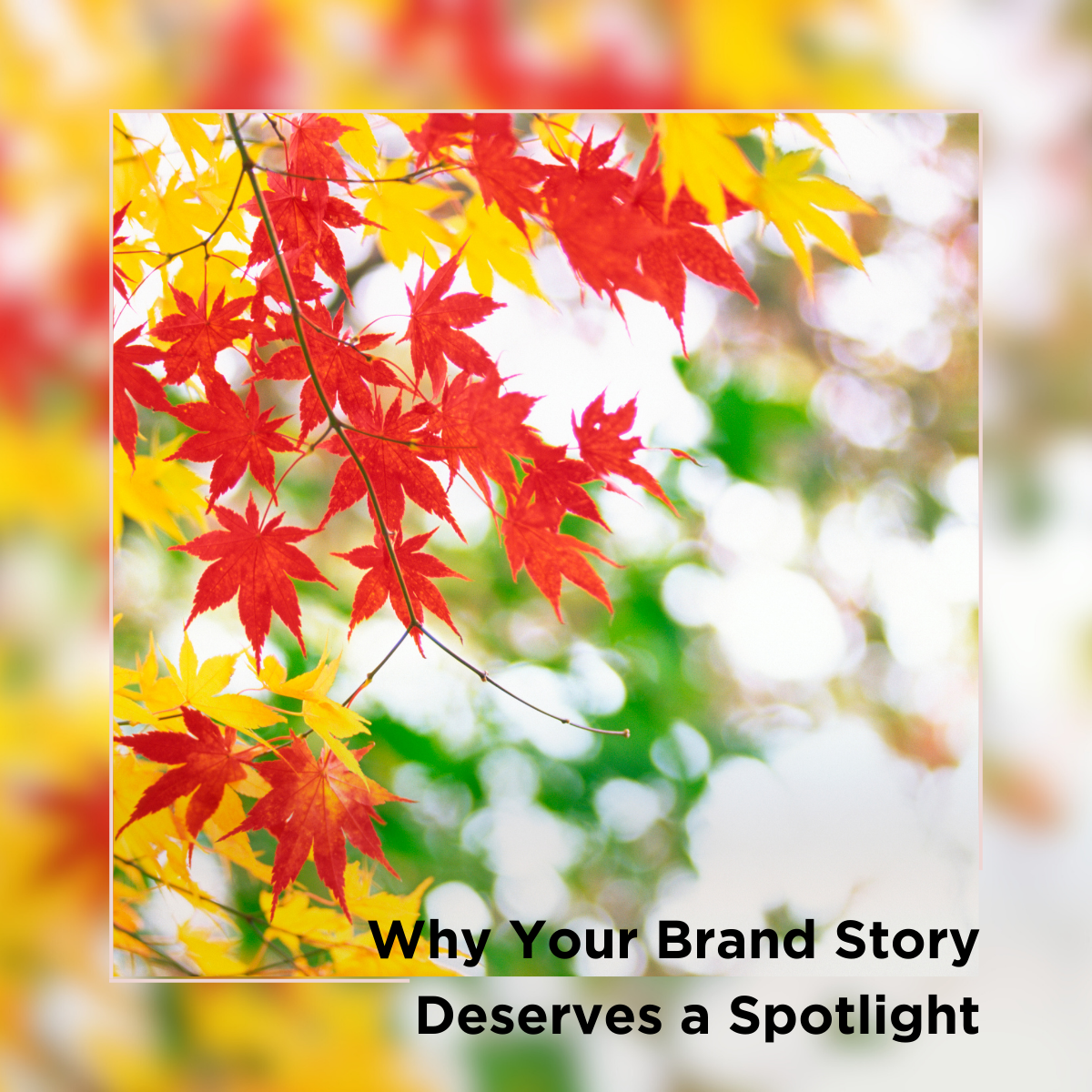 Why Your Brand Story Deserves a Spotlight